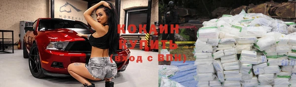 spice Богданович