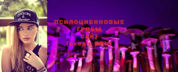 spice Богданович