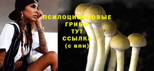 бошки Богородицк
