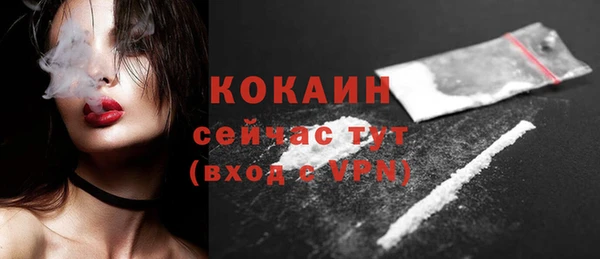 бошки Богородицк
