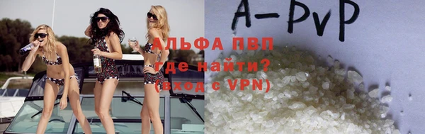 spice Богданович