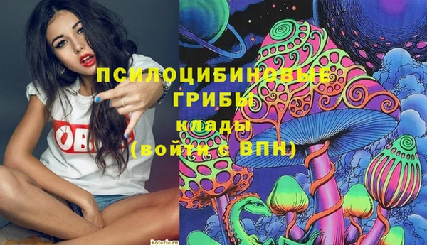 spice Богданович