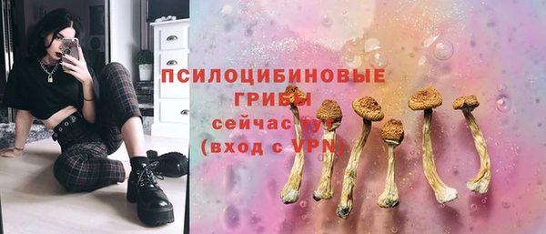 бошки Богородицк
