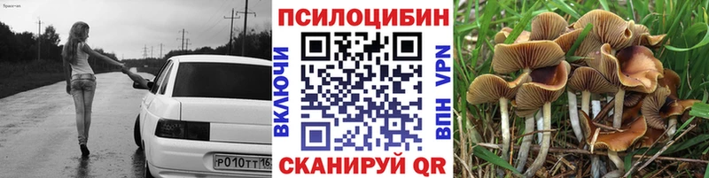 Псилоцибиновые грибы Psilocybine cubensis Ноябрьск