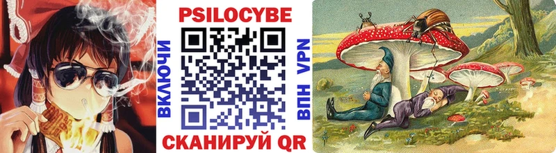 Галлюциногенные грибы Psilocybe  Ноябрьск 
